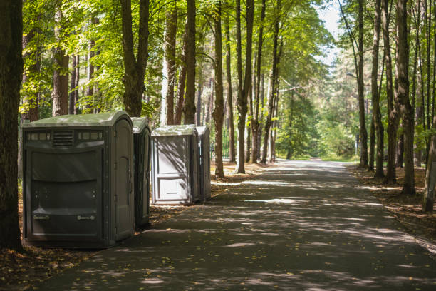 Best Affordable portable toilet rental  in Girard, IL